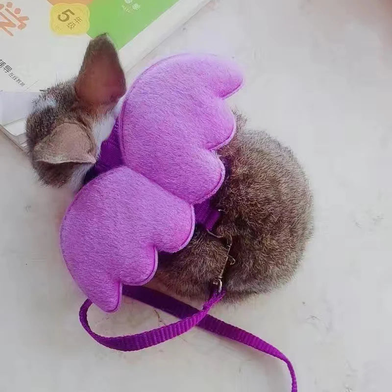 Imbracatura per piccoli animali con ali d'angelo