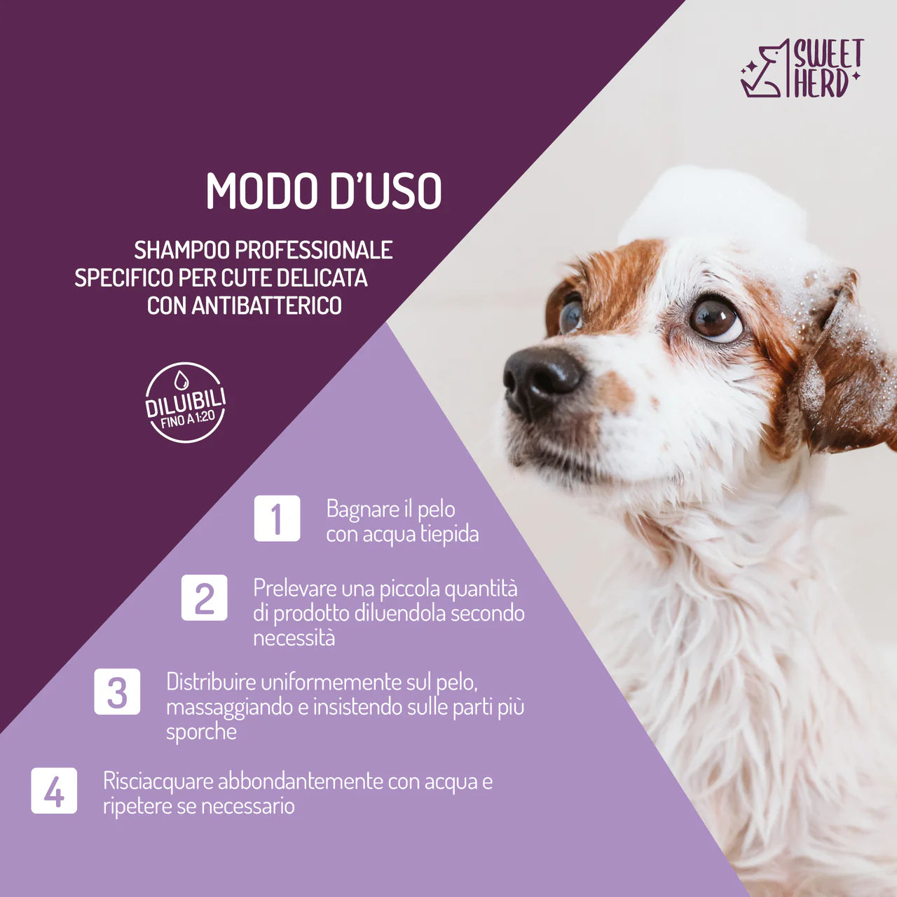 Mildes antibakterielles Shampoo für Hunde & Katzen