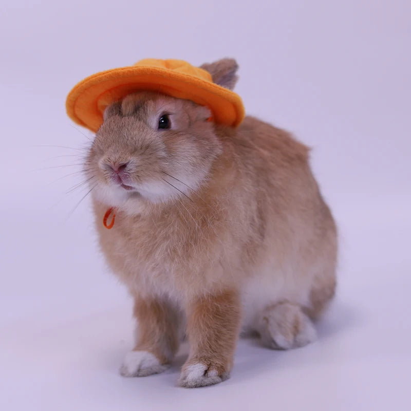 Cappellino per piccoli animali