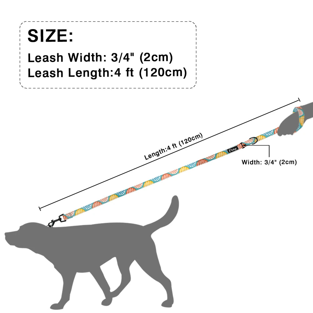 Guinzaglio per cani modello moda 4ft Guinzaglio per animali domestici in nylon stampato per cani di piccola taglia media Guinzagli morbidi per animali domestici Chihuahua Pitbull