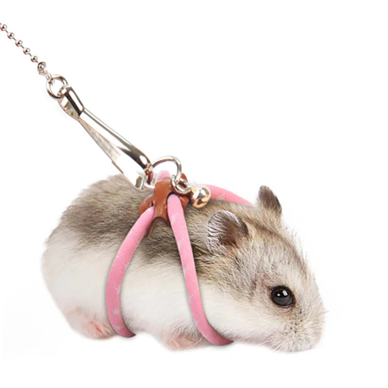 Imbracatura per piccoli animali