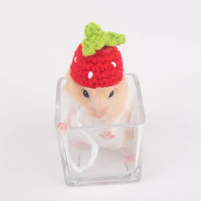 Cappellino per piccoli animali fatto a mano