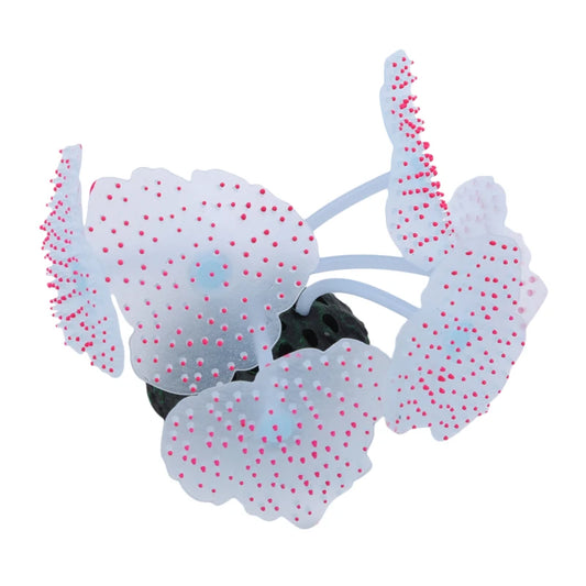 Decorazione acquario coralli