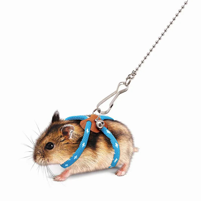 Imbracatura per piccoli animali