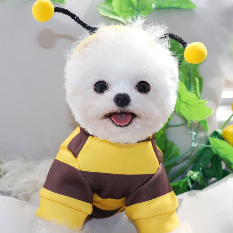 Felpa con cappuccio costume ape per cani