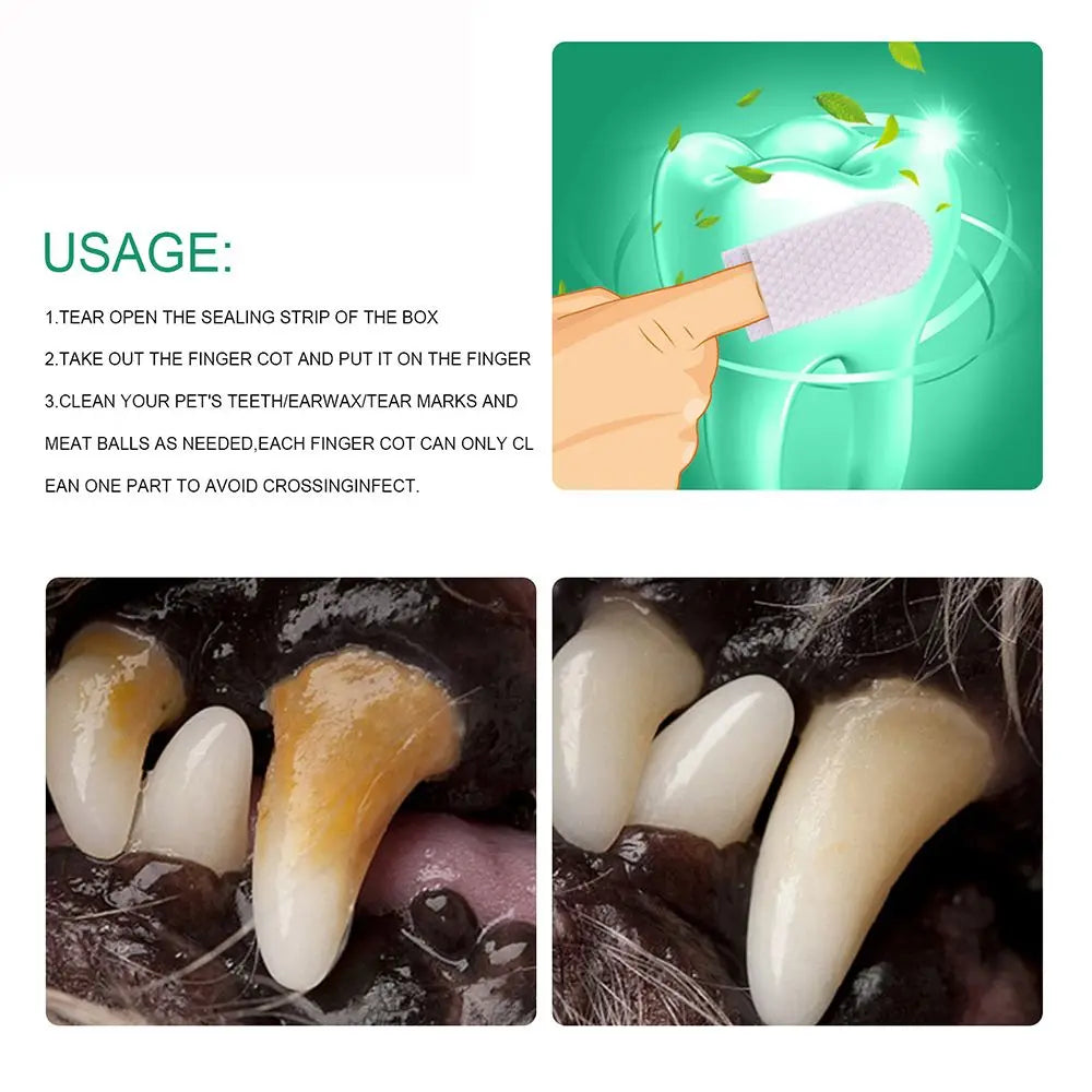 20 Pz per igiene dentale animali