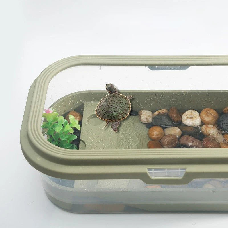 Rettile tartaruga tartaruga Vivarium Box acquario serbatoio allevamento cibo tartaruga scatola di alimentazione con piattaforma di Basking acquario domestico