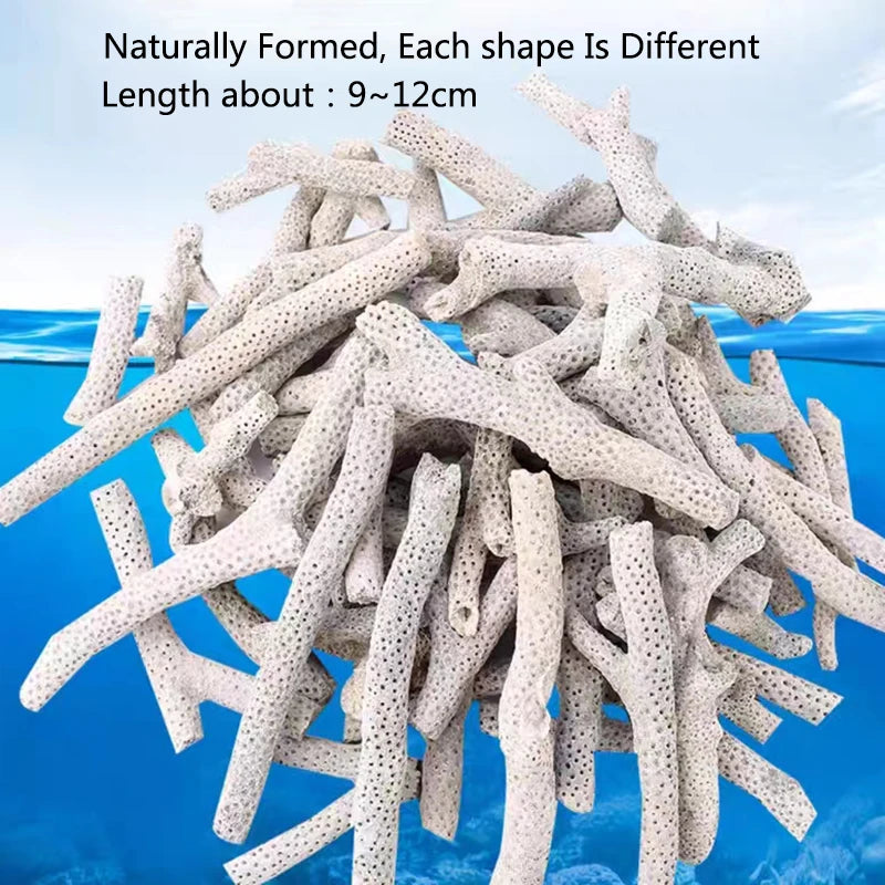 Filtro per acquario con osso di corallo di barriera corallina naturale di alta qualità materiale biologico medio sabbie di corallo per la filtrazione del serbatoio di pesce fisso PH
