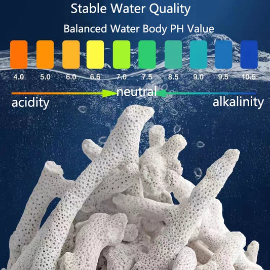 Filtro per acquario con osso di corallo di barriera corallina naturale di alta qualità materiale biologico medio sabbie di corallo per la filtrazione del serbatoio di pesce fisso PH