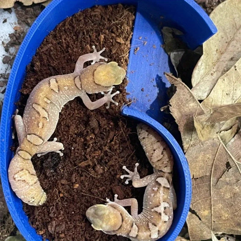 Scatola per rettili animali con ricce decorazioni, geco rana serpente, geco con stampa leopardata, lucertola e altre grotte di animali