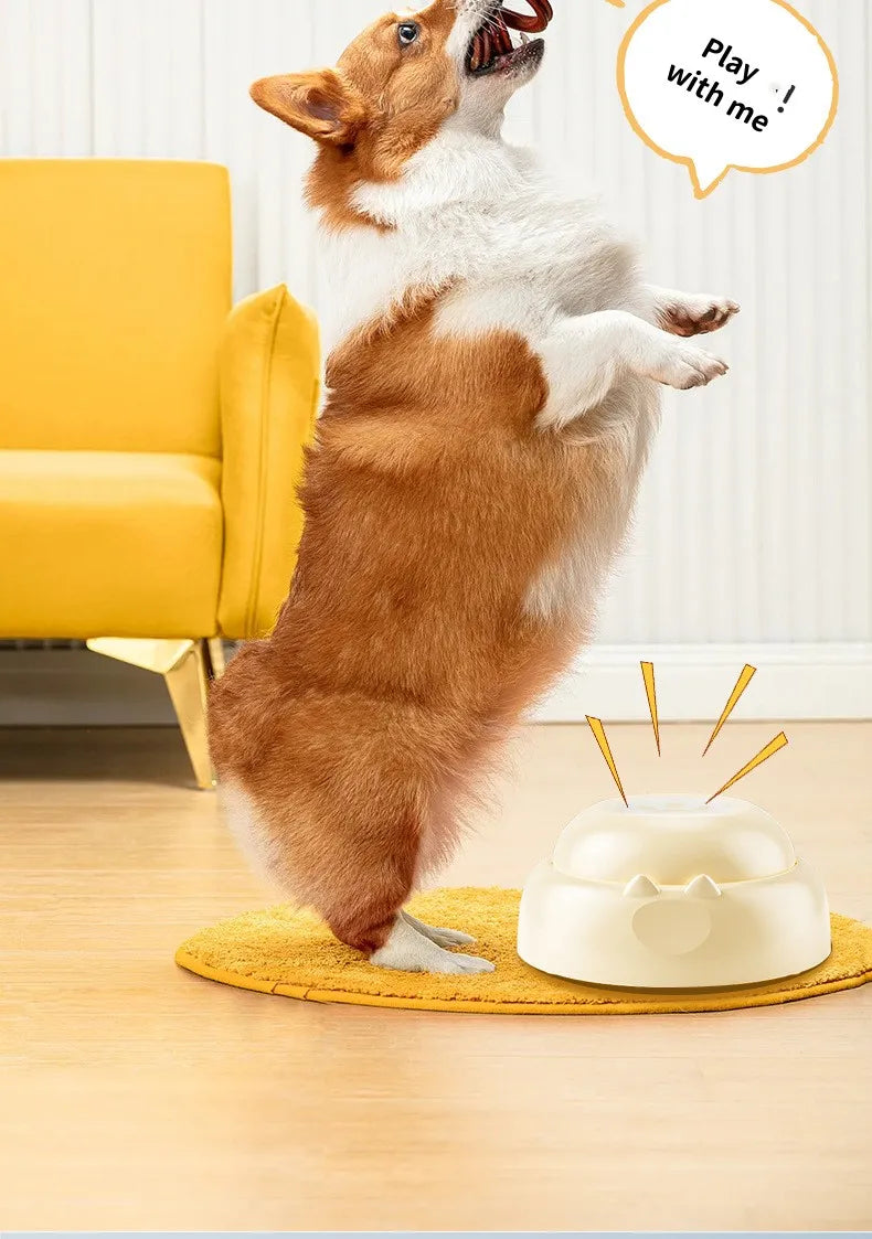 Pulsanti di comunicazione per cani Pulsante di registrazione vocale per cicalino di addestramento per animali domestici Riproduzione di registrazione di 30 secondi Regalo divertente per animali domestici parlanti