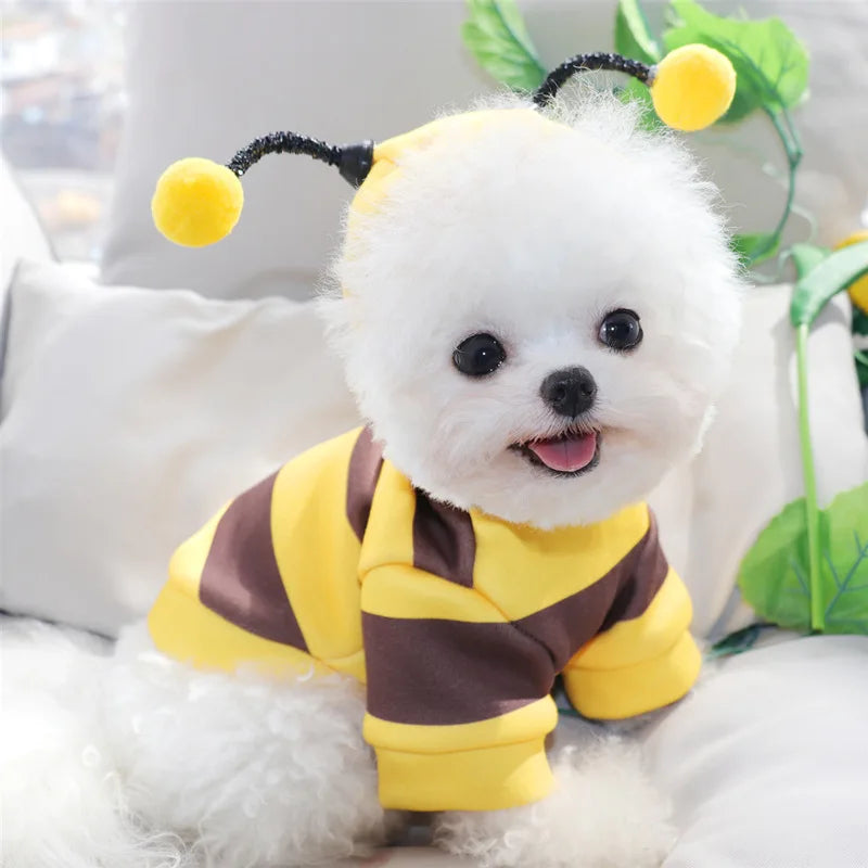 Felpa con cappuccio costume ape per cani