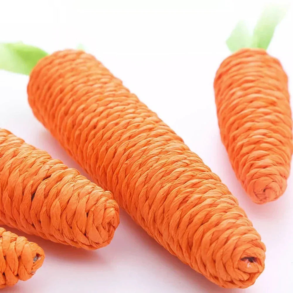 Giocattolo per animali carota