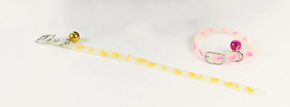 Collari luminosi per animali domestici