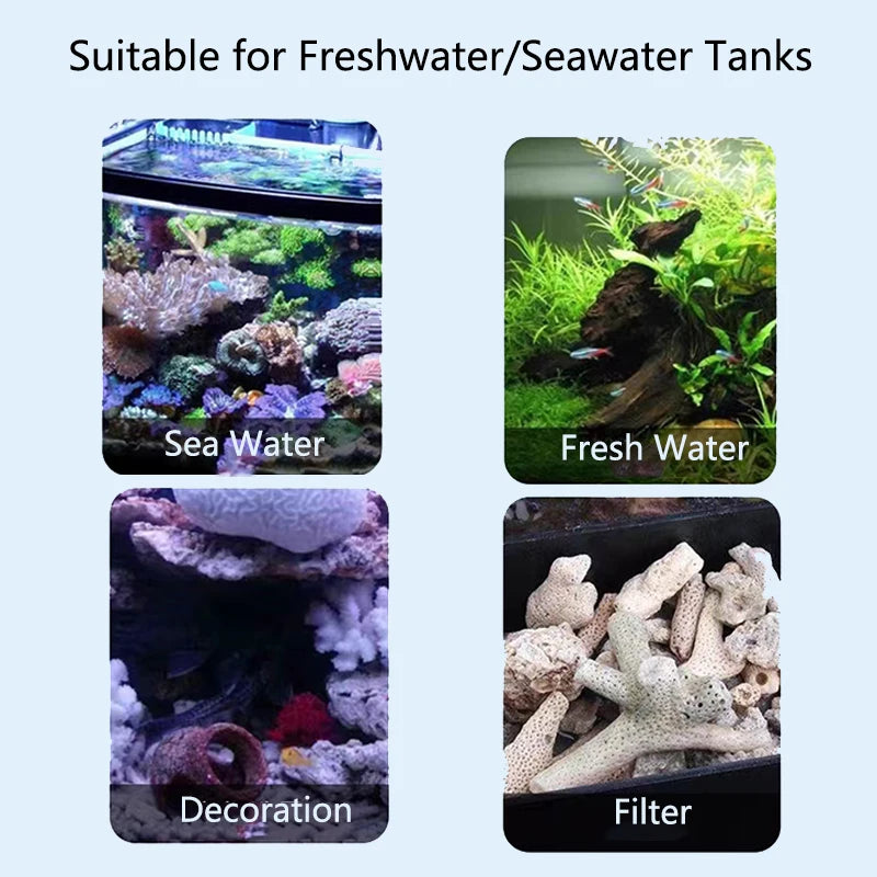 Filtro per acquario con osso di corallo di barriera corallina naturale di alta qualità materiale biologico medio sabbie di corallo per la filtrazione del serbatoio di pesce fisso PH
