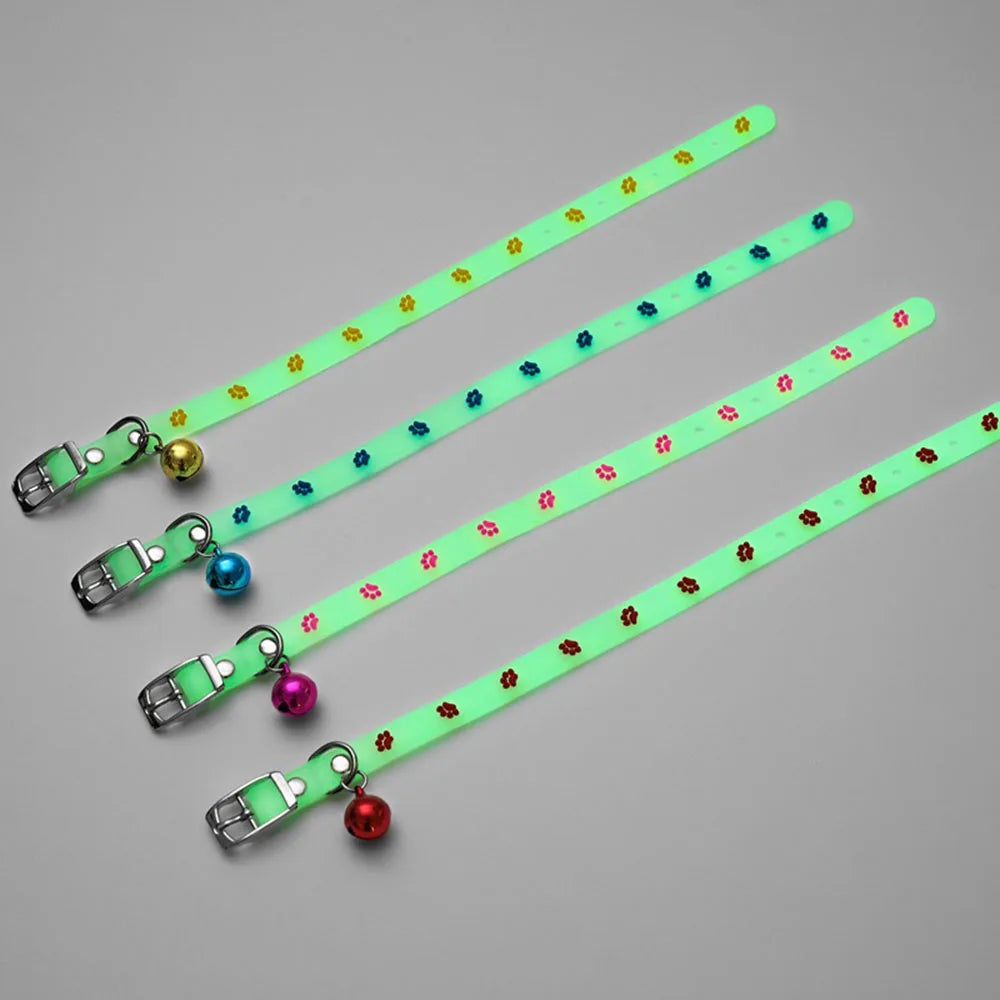 Collari luminosi per animali domestici