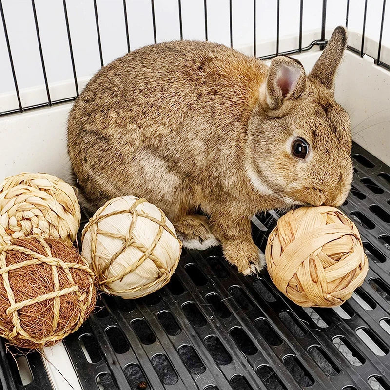 Palla intrecciata da masticare per roditori