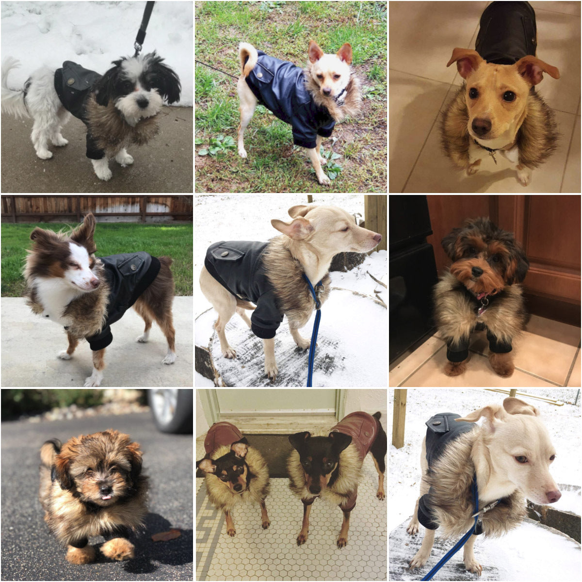 Cappotti per cani in pelle impermeabile