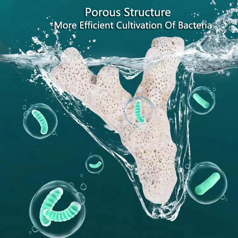 Filtro per acquario con osso di corallo di barriera corallina naturale di alta qualità materiale biologico medio sabbie di corallo per la filtrazione del serbatoio di pesce fisso PH