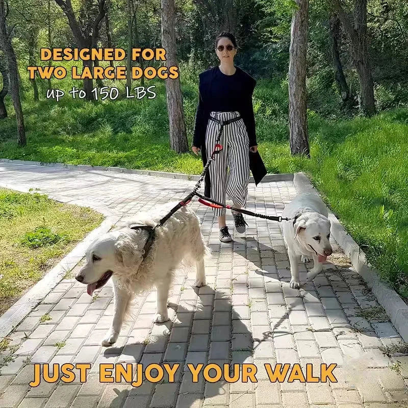 Guinzaglio doppio per cani