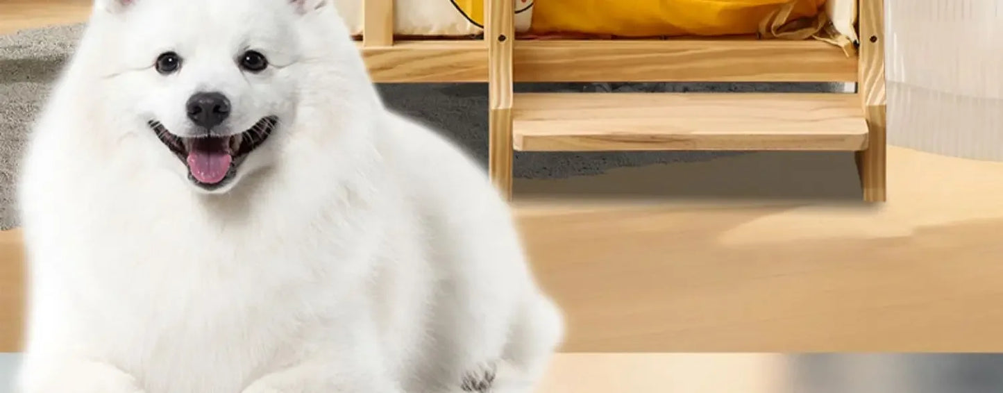 Letto principessa in legno massello a 2 strati per animali domestici Forniture universali per cani e gatti Comodo nido per cani traspirante Comoda scala da arrampicata