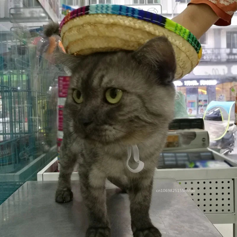 Sombrero di paglia per animali