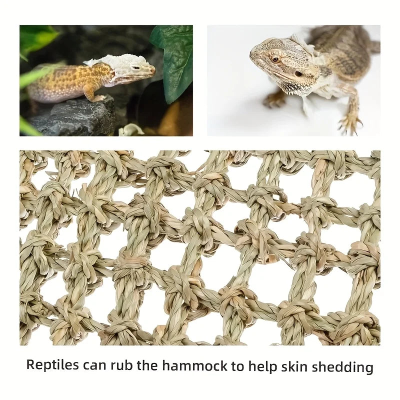 Amaca per animali esotici