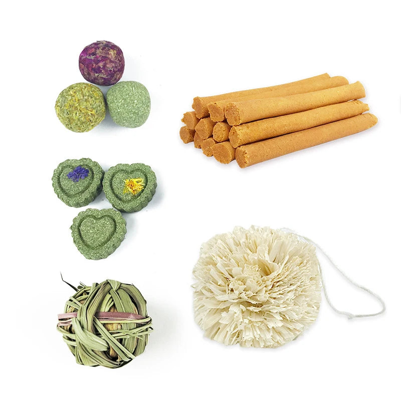 Premietti da masticare per roditori