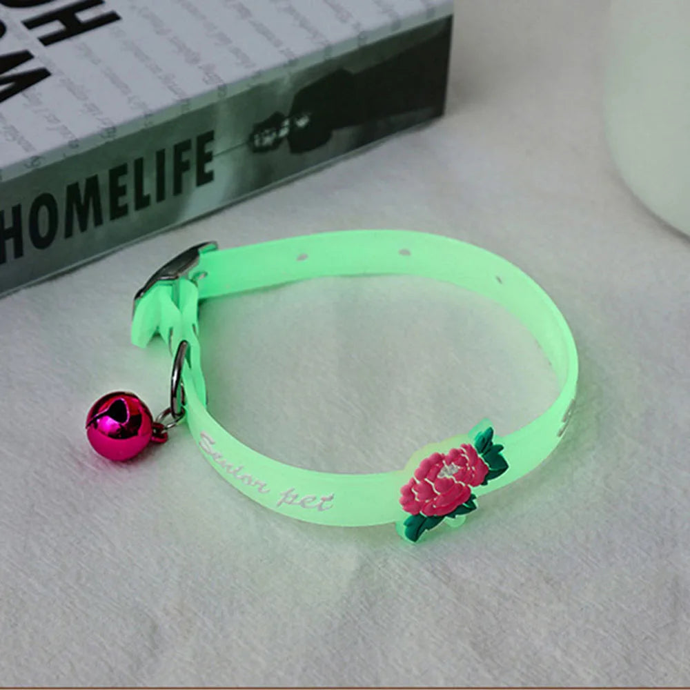 Collari luminosi per animali domestici