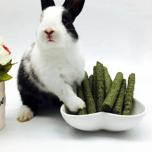 Bastoncini da masticare per piccoli animali