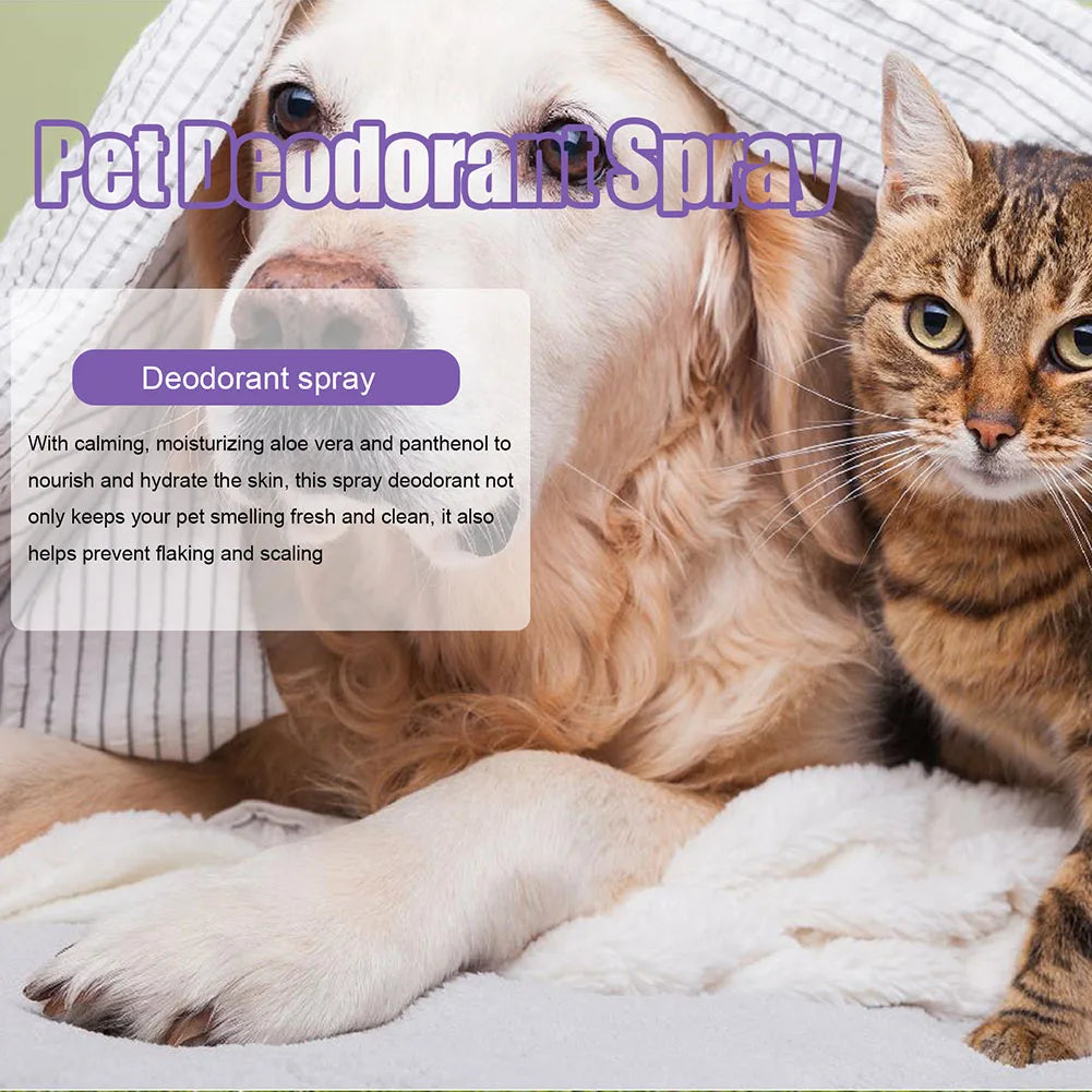 Profumo deodorante 50ml Olio di lavanda Deodorante per cani Spray