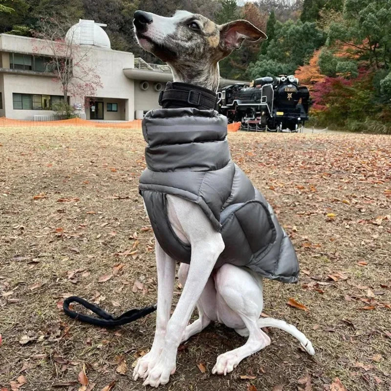 Gilet piumino cani