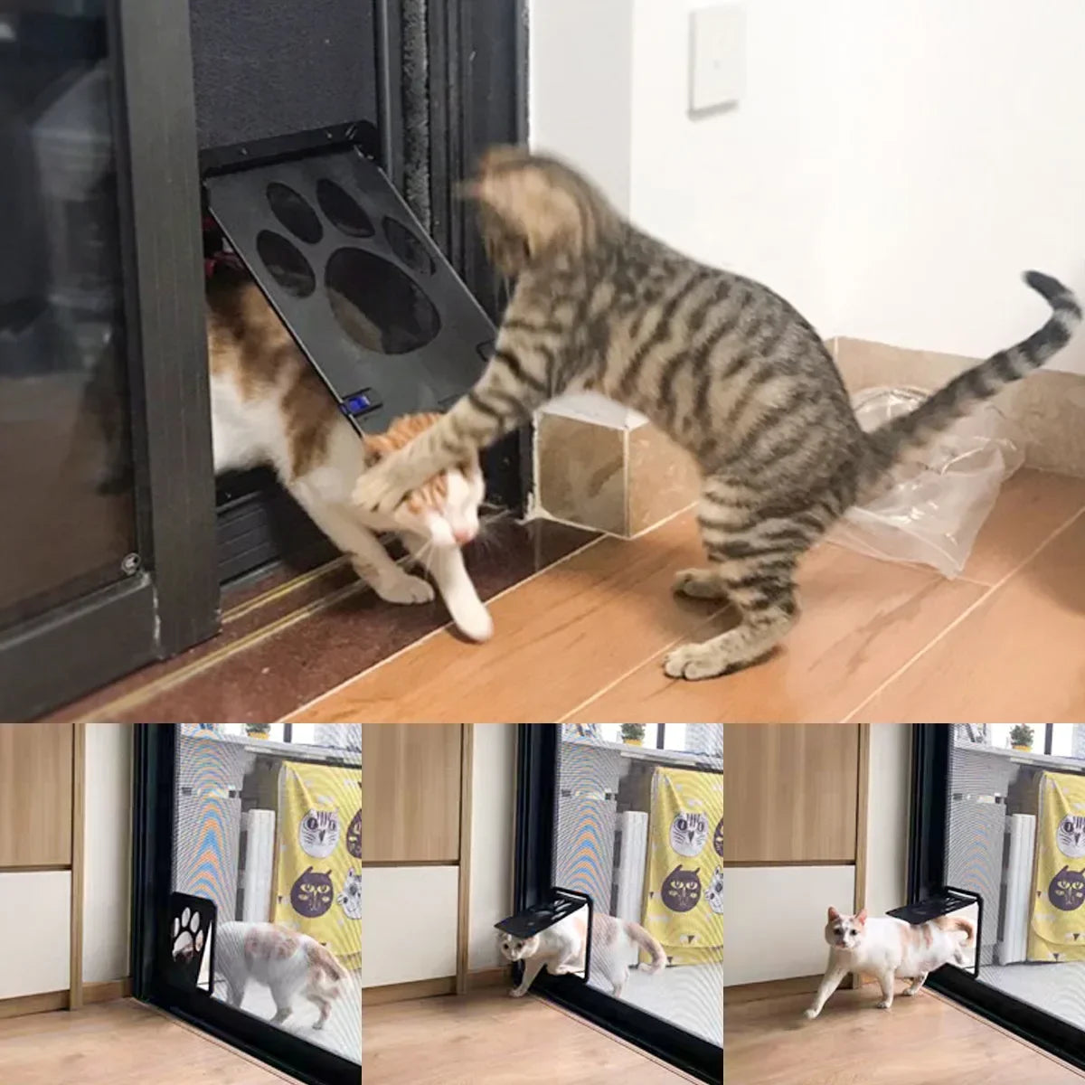 Porta per animali domestici