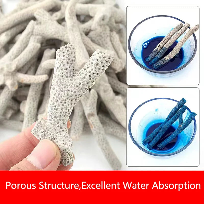 Filtro per acquario con osso di corallo di barriera corallina naturale di alta qualità materiale biologico medio sabbie di corallo per la filtrazione del serbatoio di pesce fisso PH