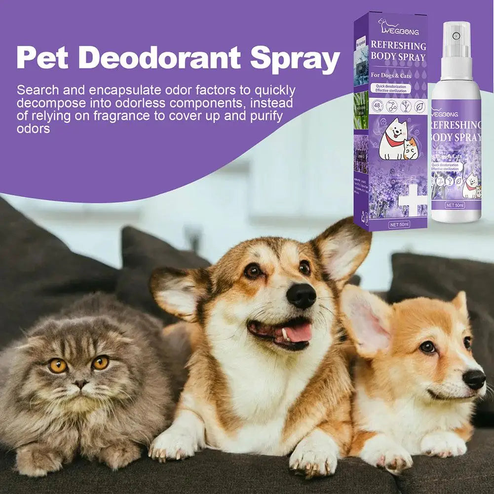 Profumo deodorante 50ml Olio di lavanda Deodorante per cani Spray