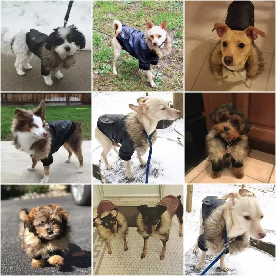 Cappotti per cani in pelle impermeabile