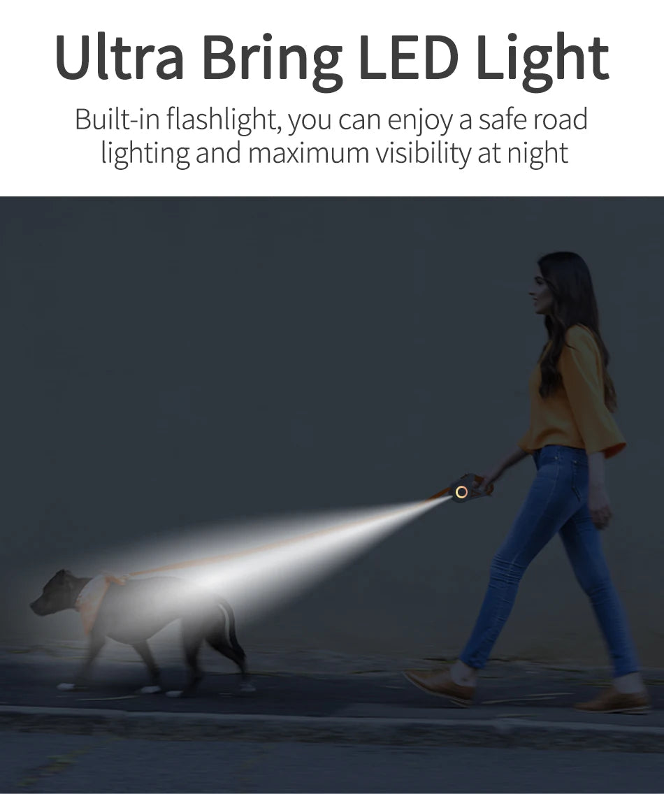 ROJECO 5M Guinzaglio automatico per cani Retrattile LED Luminoso Leading Cinghie luminose di moda per cuccioli di cane Pet Flexi Walking Running Piombo