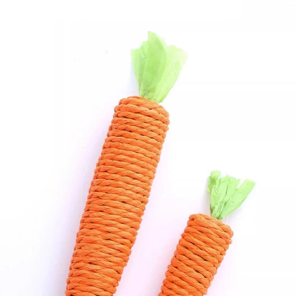 Giocattolo per animali carota