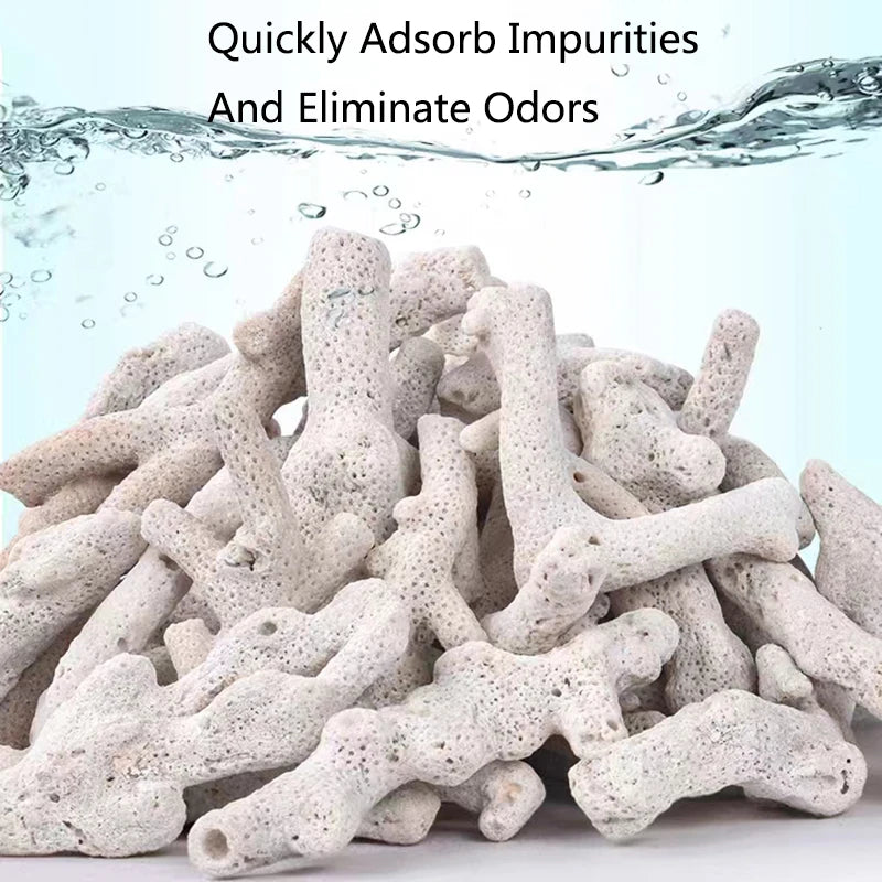 Filtro per acquario con osso di corallo di barriera corallina naturale di alta qualità materiale biologico medio sabbie di corallo per la filtrazione del serbatoio di pesce fisso PH