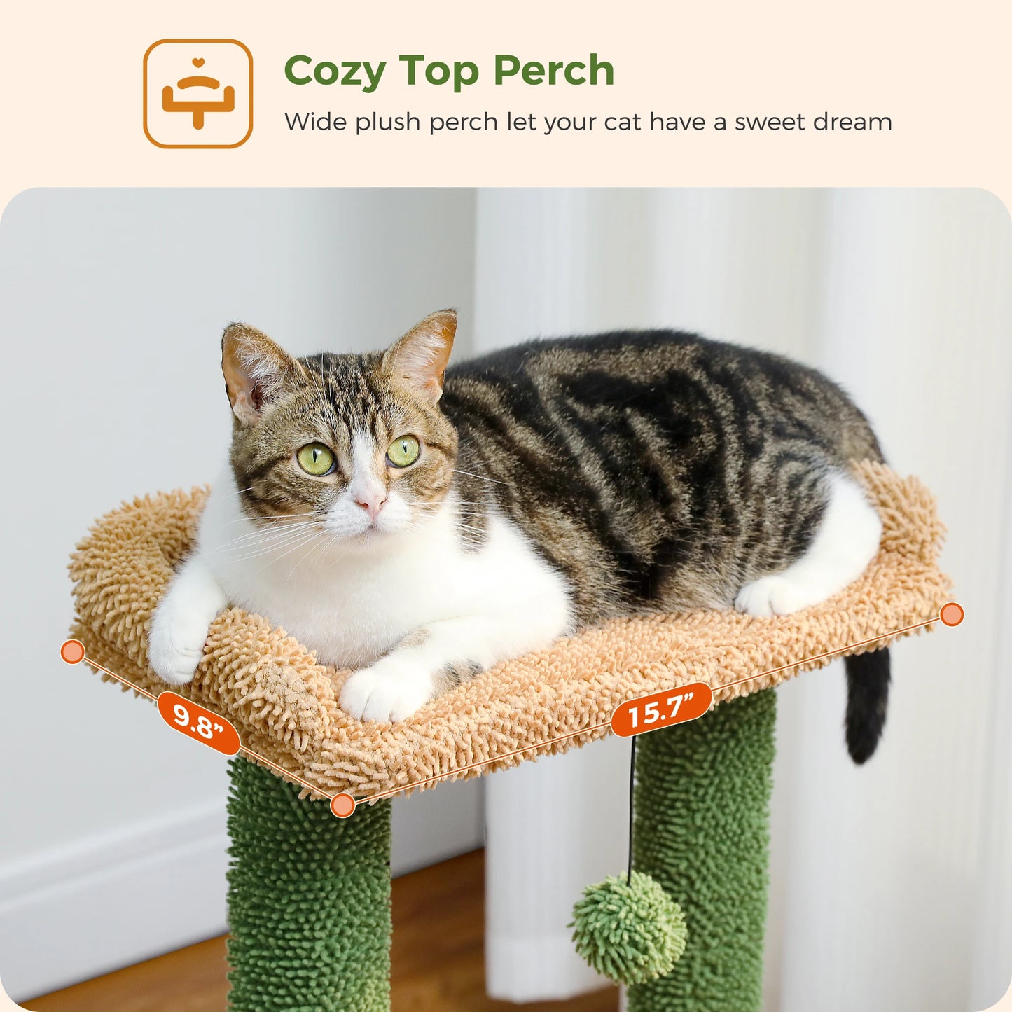 Albero per gatti cactus 4 in 1