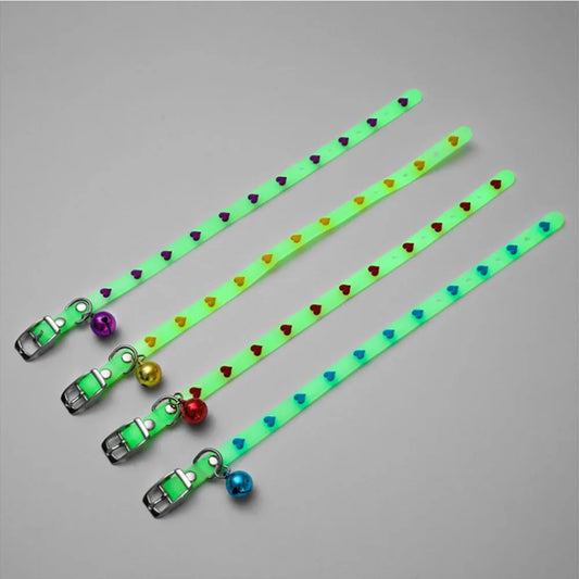 Collari luminosi per animali domestici