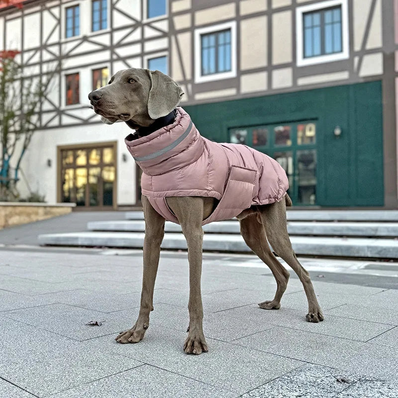Gilet piumino cani