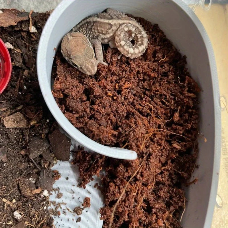 Scatola per rettili animali con ricce decorazioni, geco rana serpente, geco con stampa leopardata, lucertola e altre grotte di animali
