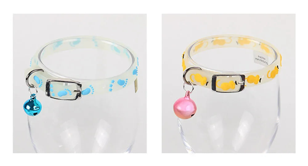 Collari luminosi per animali domestici
