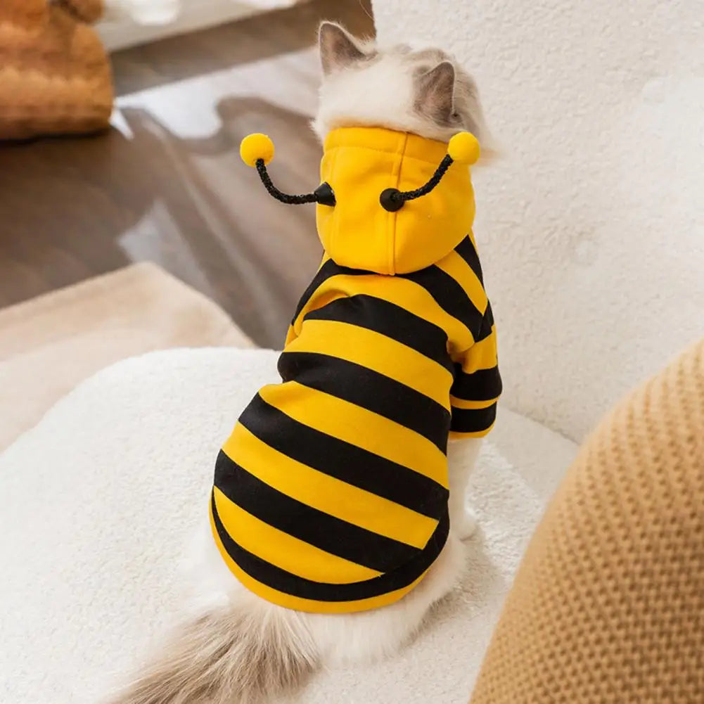 Costume da "apetta" per cani e gatti