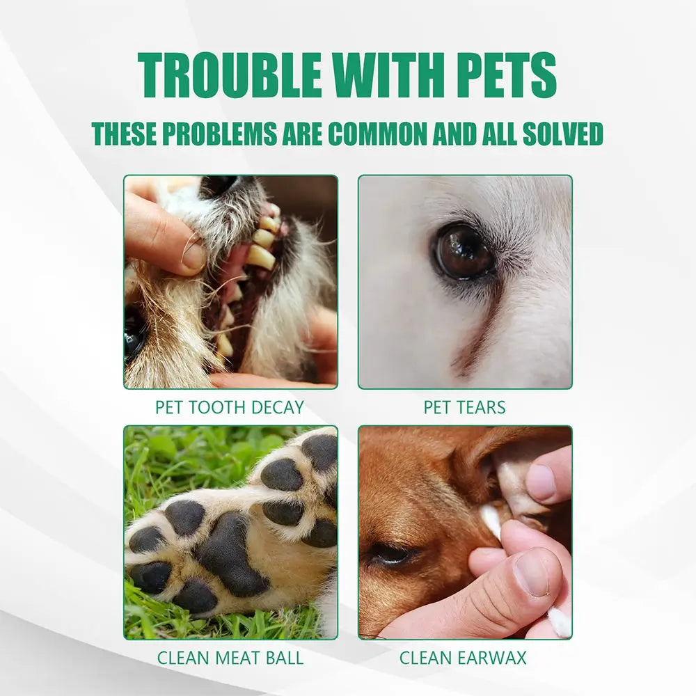 20 Pz per igiene dentale animali