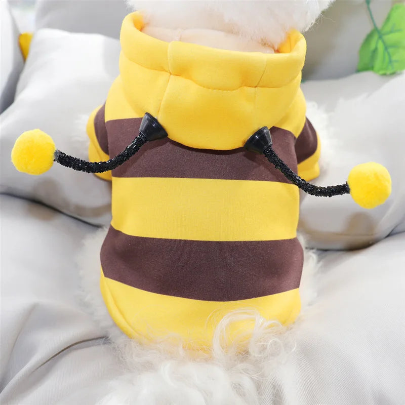 Felpa con cappuccio costume ape per cani
