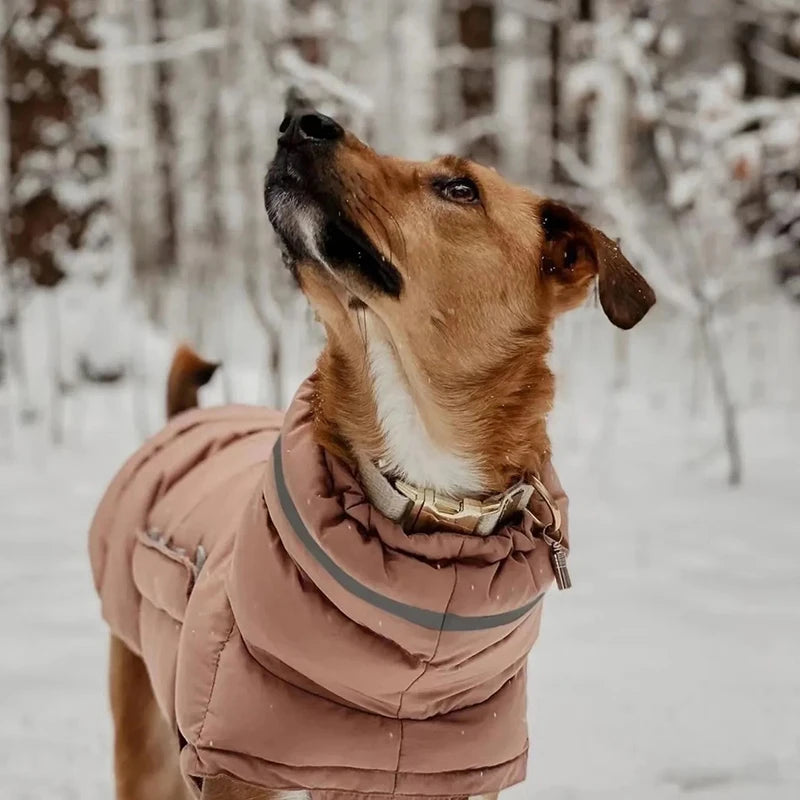 Gilet piumino cani