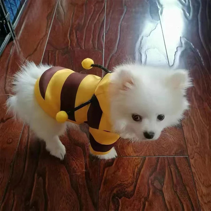Felpa con cappuccio costume ape per cani