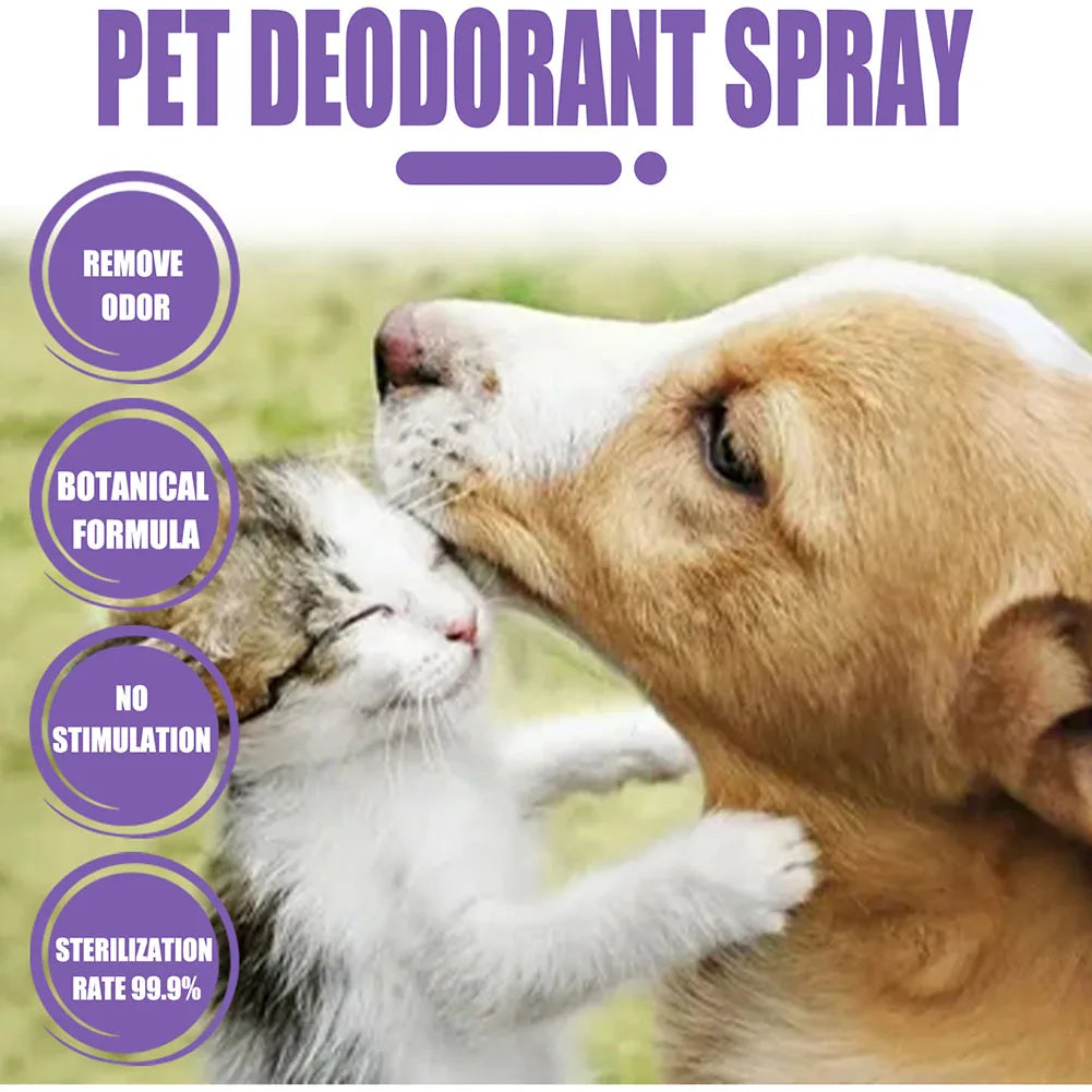 Profumo deodorante 50ml Olio di lavanda Deodorante per cani Spray